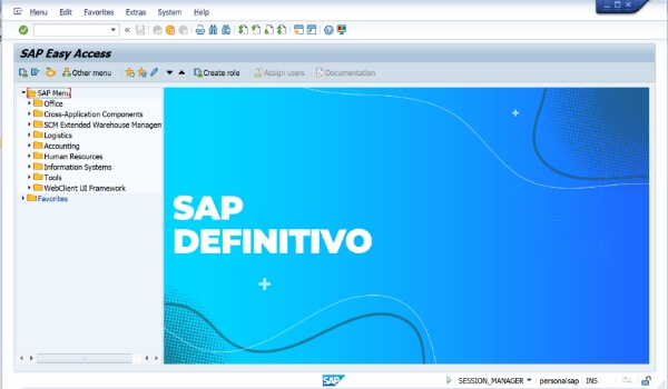Curso-de-SAP-Definitivo-Freire-3.jpg