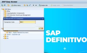 sap 様 MB03 para Visualização de Documento de Material no SAP: Acesso